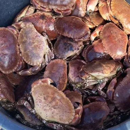 Feriehus Eksklusiv Rorbu - Havblikk 1 - Båtutleie